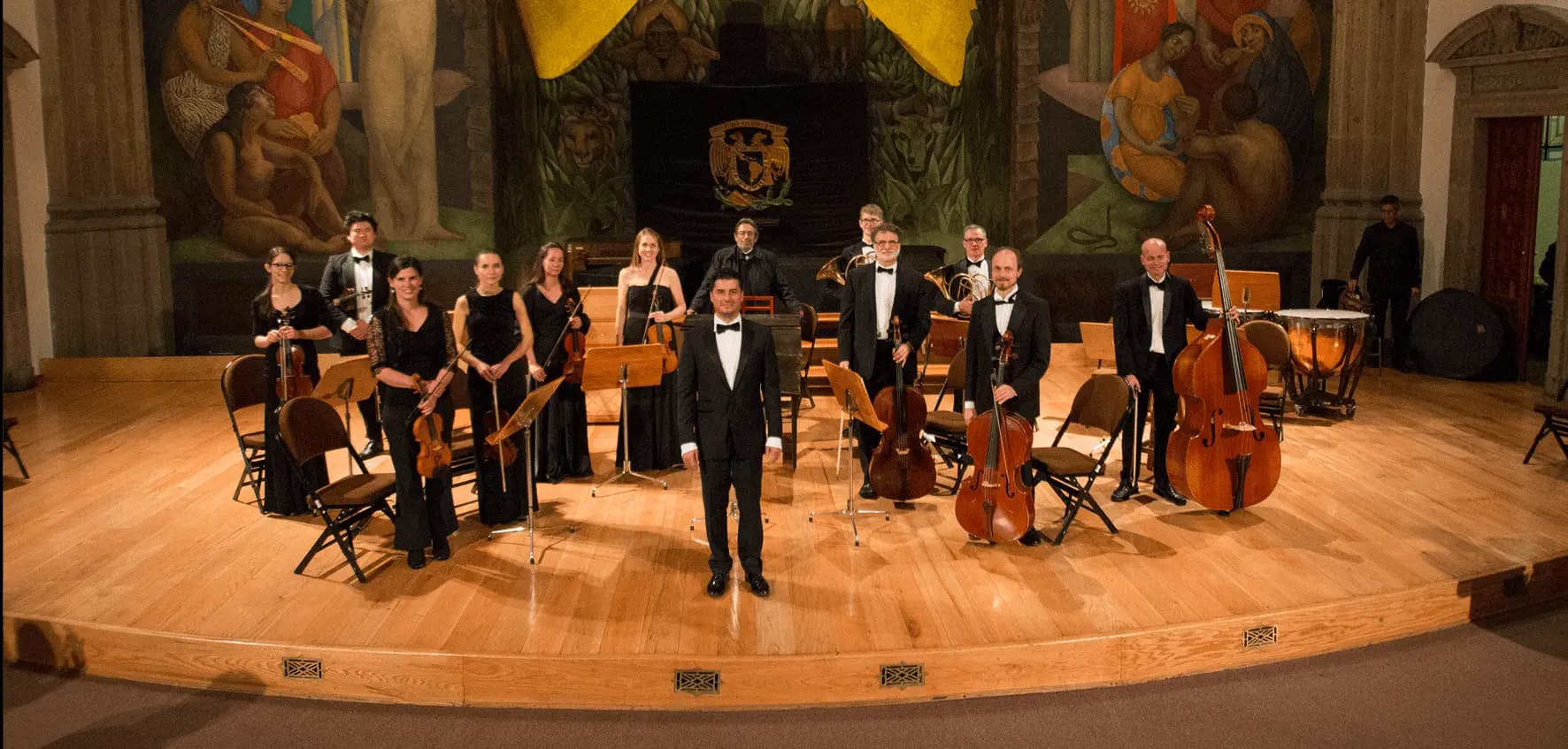 Orchestra performance